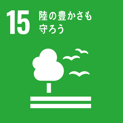 SDGS Icon