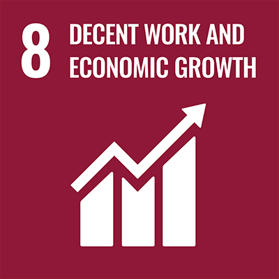 SDGS Icon