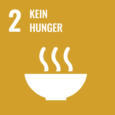 SDGS Icon