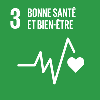 SDGS Icon