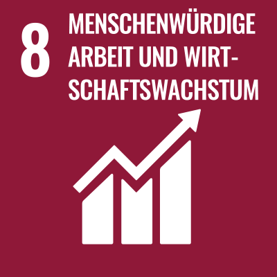 SDGS Icon