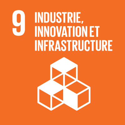 SDGS Icon