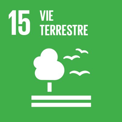 SDGS Icon
