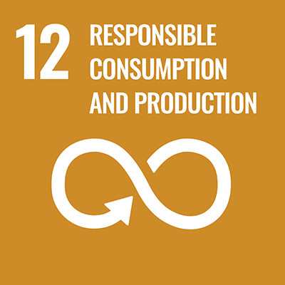 SDGS Icon