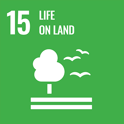 SDGS Icon