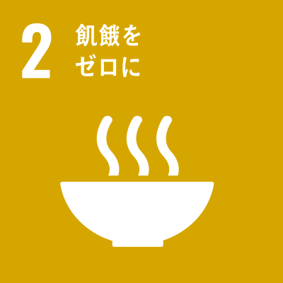 SDGS Icon