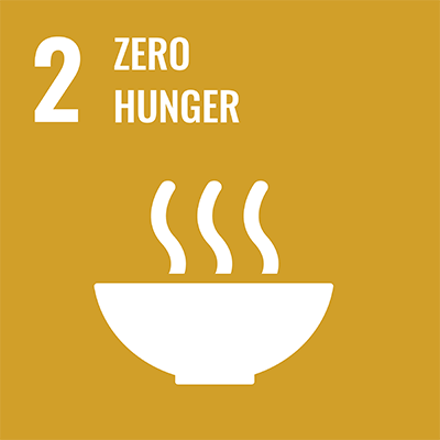 SDGS Icon