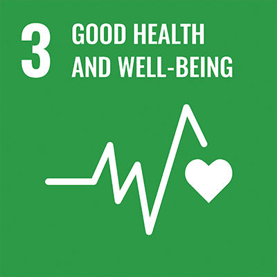 SDGS Icon