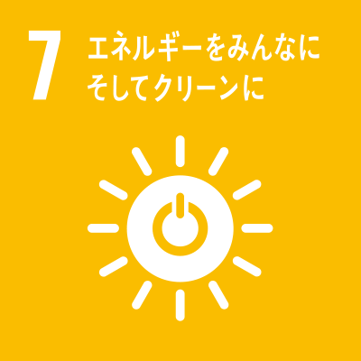 SDGS Icon