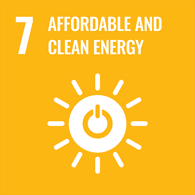 SDGS Icon