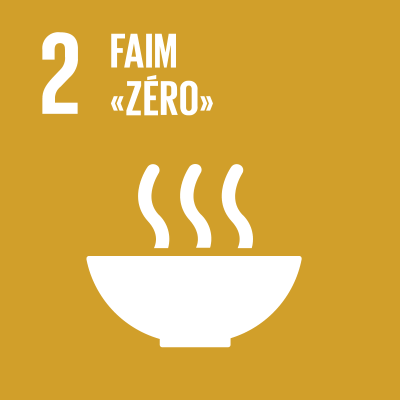 SDGS Icon
