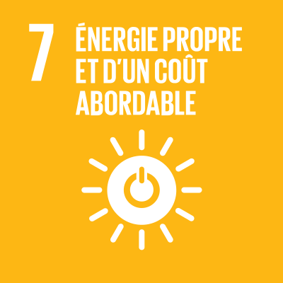 SDGS Icon