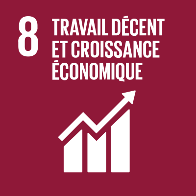 SDGS Icon