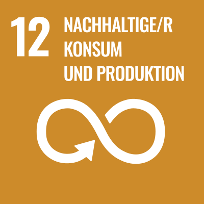 SDGS Icon