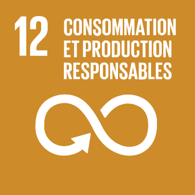 SDGS Icon