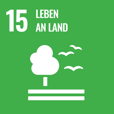 SDGS Icon